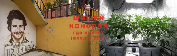 СК Абинск