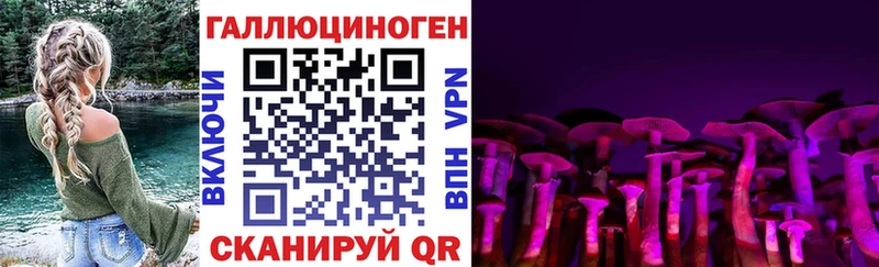 закладки Елизаветинская Псилоцибиновые грибы Psilocybine cubensis